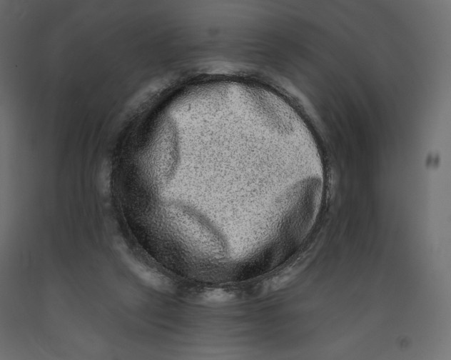 X0000092320257200710121528