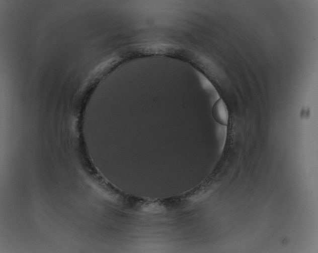 X0000092320258200710121528