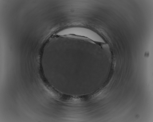 X0000092320260200710121528