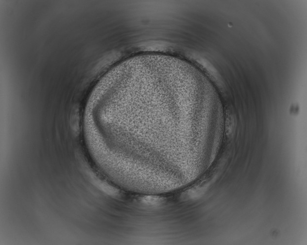 X0000092320261200710121528
