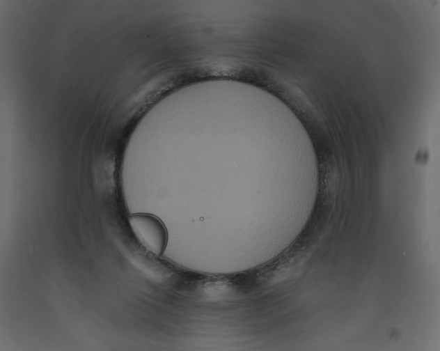 X0000092320262200710121528
