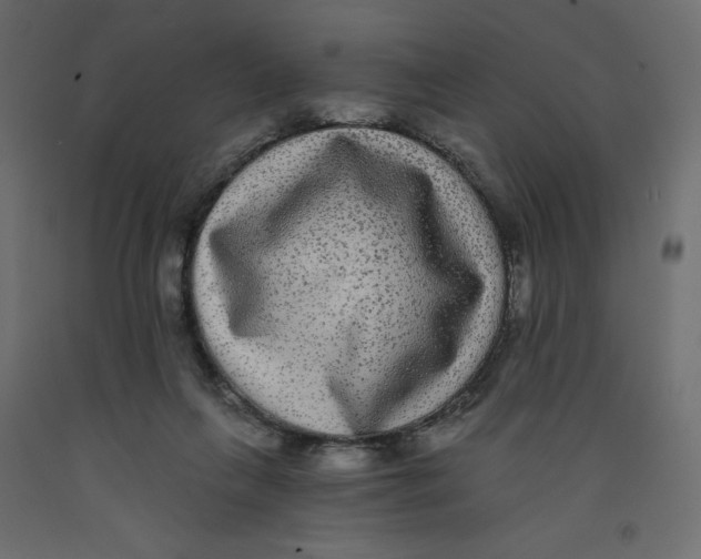 X0000092320263200710121528