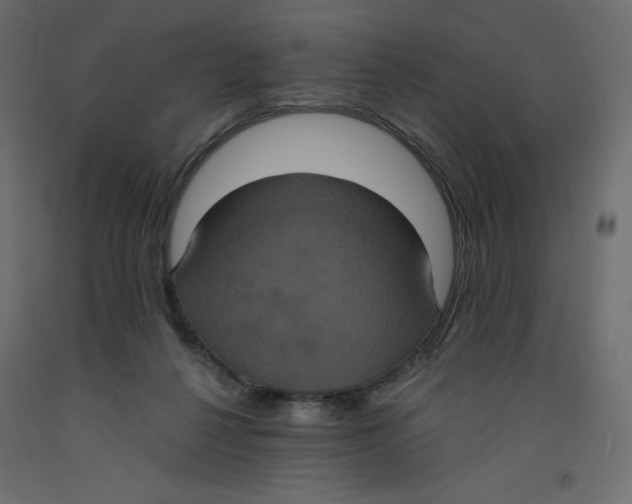 X0000092320264200710121528