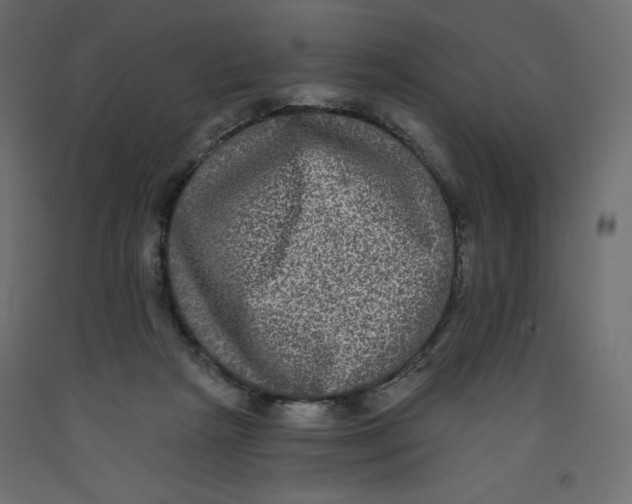 X0000092320265200710121528