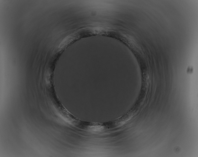 X0000092320266200710121528