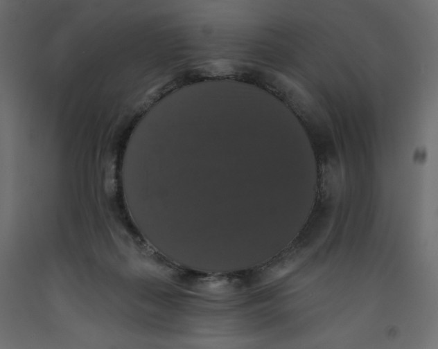 X0000092320267200710121528