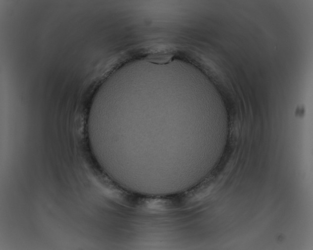 X0000092320268200710121528