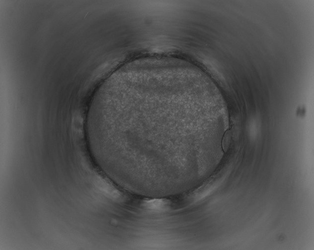 X0000092320269200710121528