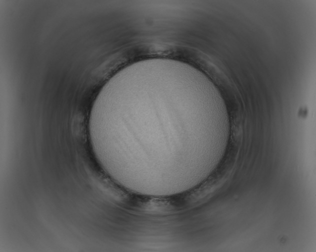 X0000092320270200710121528