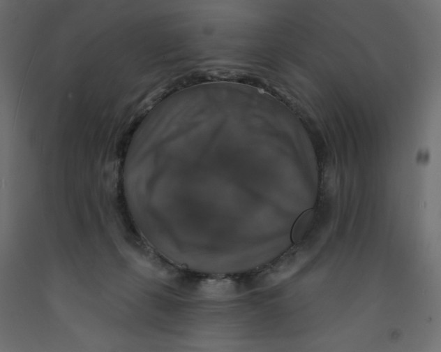 X0000092320271200710121528