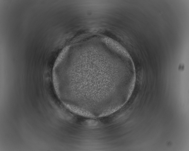 X0000092320272200710121528