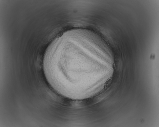 X0000092320273200710121528