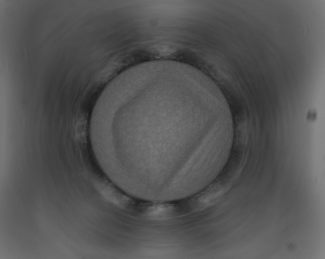X0000092320274200710121528