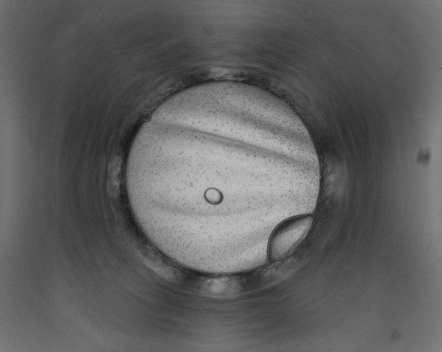 X0000092320275200710121528