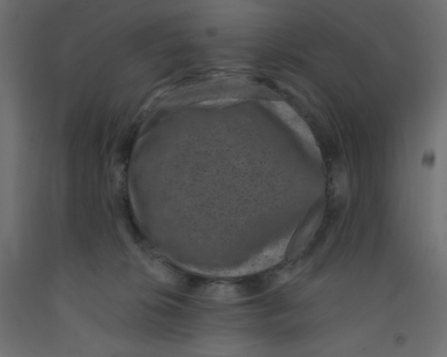X0000092320276200710121528