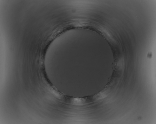X0000092320277200710121528