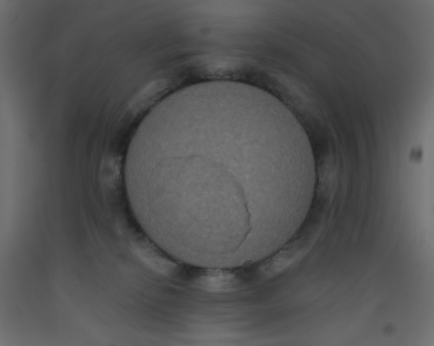 X0000092320278200710121528