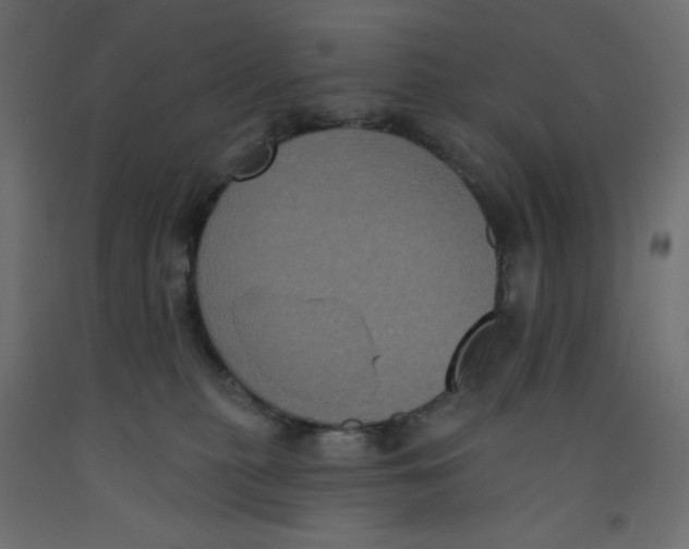 X0000092320279200710121528