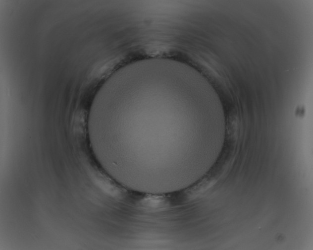 X0000092320280200710121528
