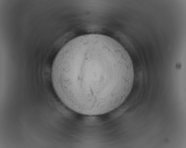 X0000092320281200710121528