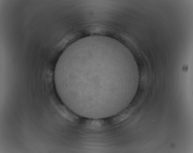 X0000092320282200710121528