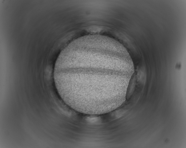 X0000092320283200710121528