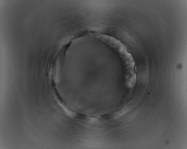 X0000092320285200710121528