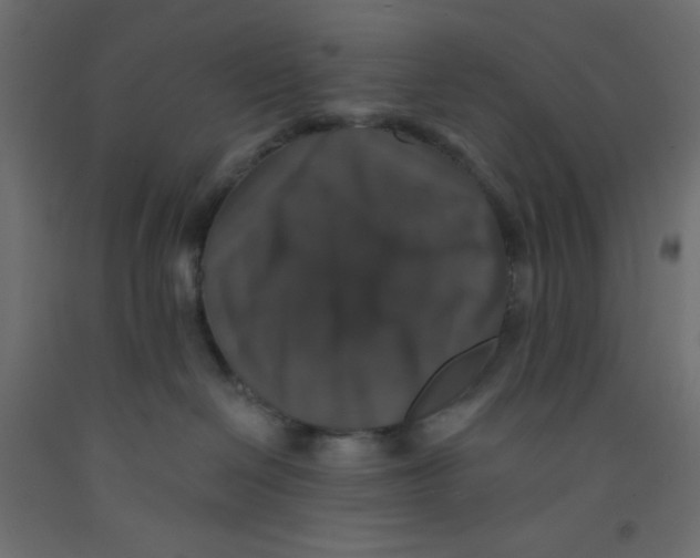 X0000092320286200710121528