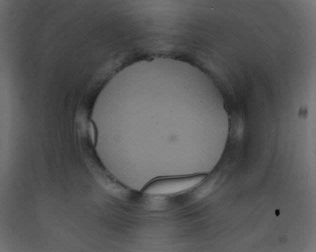 X0000092320287200710121528