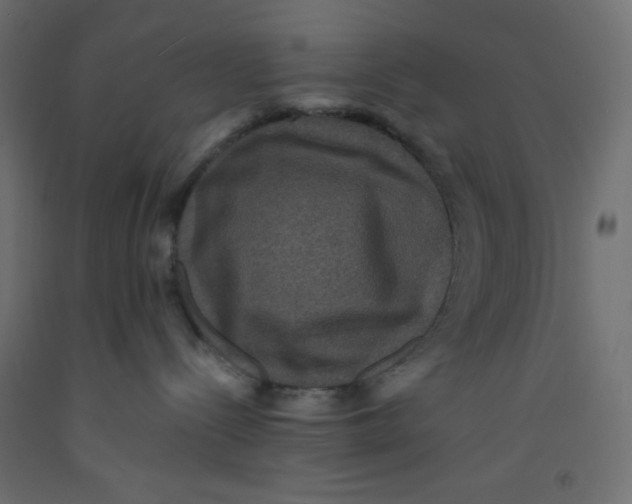 X0000092320288200710121528