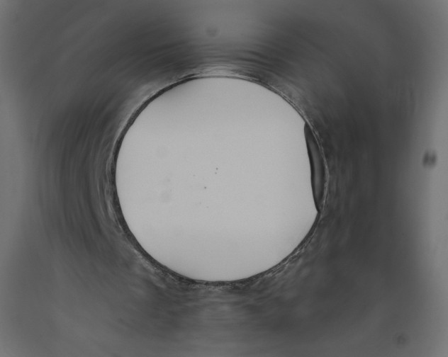 X0000092320289200710121528