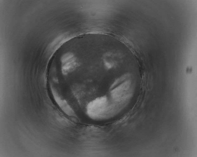 X0000092320290200710121528