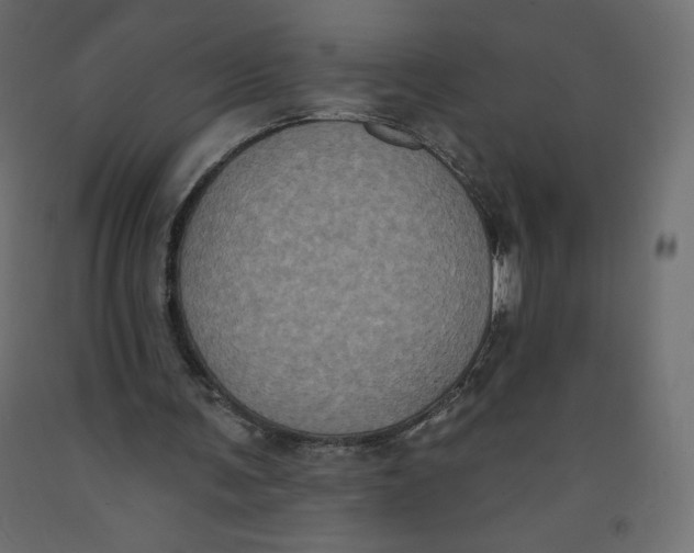 X0000092320291200710121528