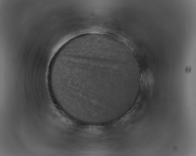 X0000092320292200710121528
