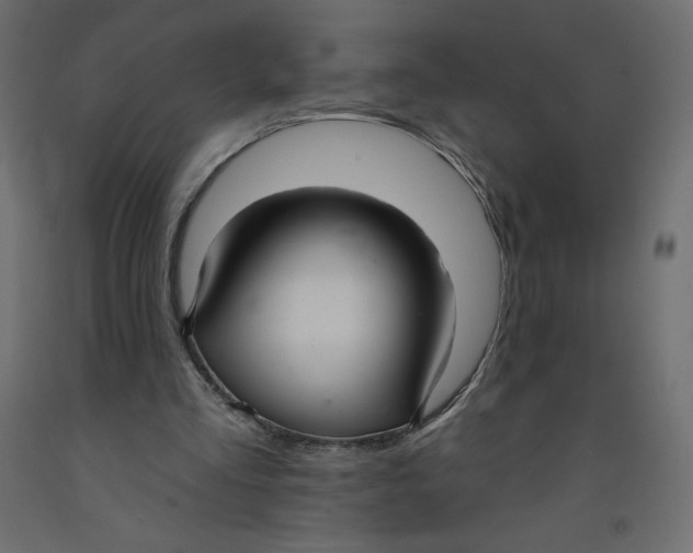 X0000092320293200710121528