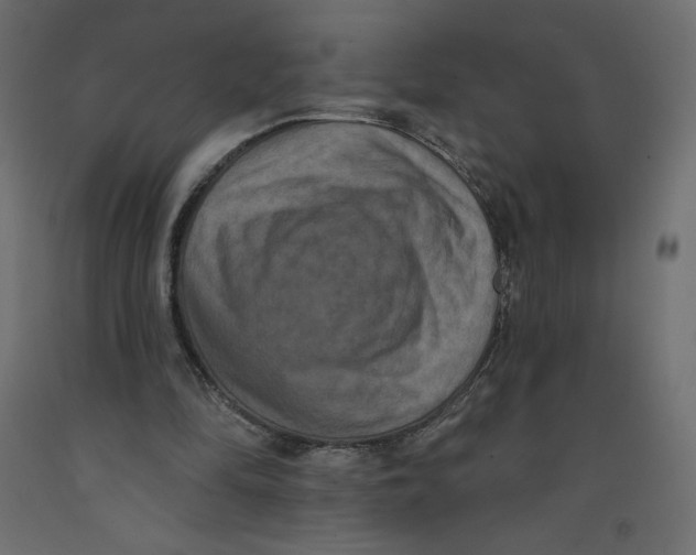 X0000092320294200710121528