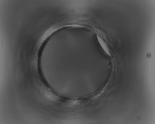 X0000092320295200710121528
