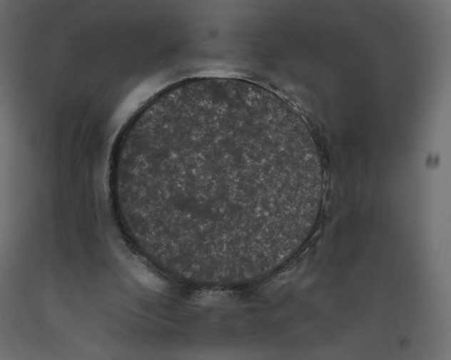 X0000092320296200710121528