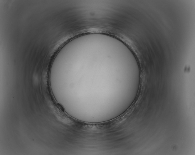 X0000092320297200710121528