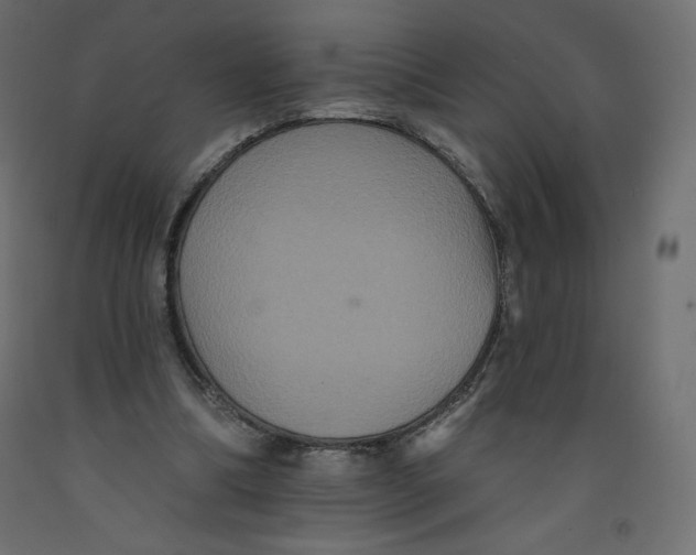 X0000092320298200710121528