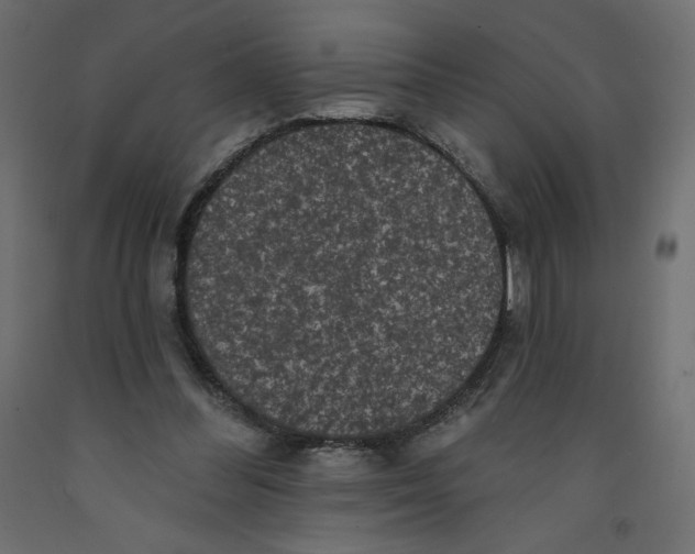 X0000092320300200710121528
