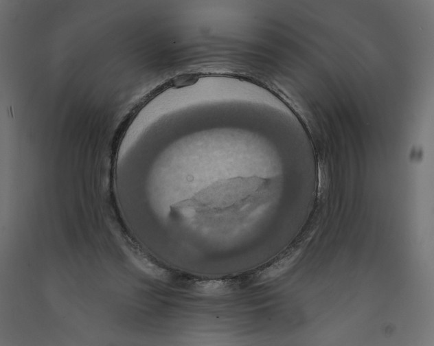 X0000092320301200710121528