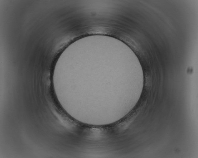 X0000092320302200710121528