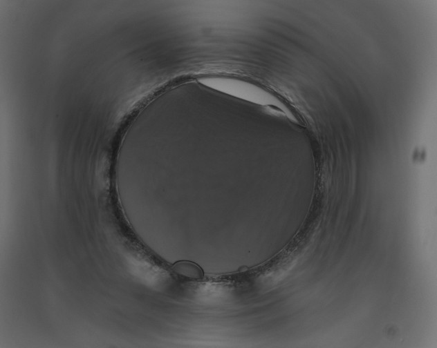 X0000092320303200710121528