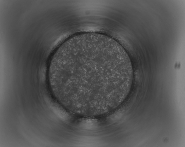 X0000092320304200710121528