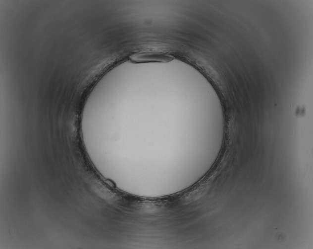 X0000092320305200710121528