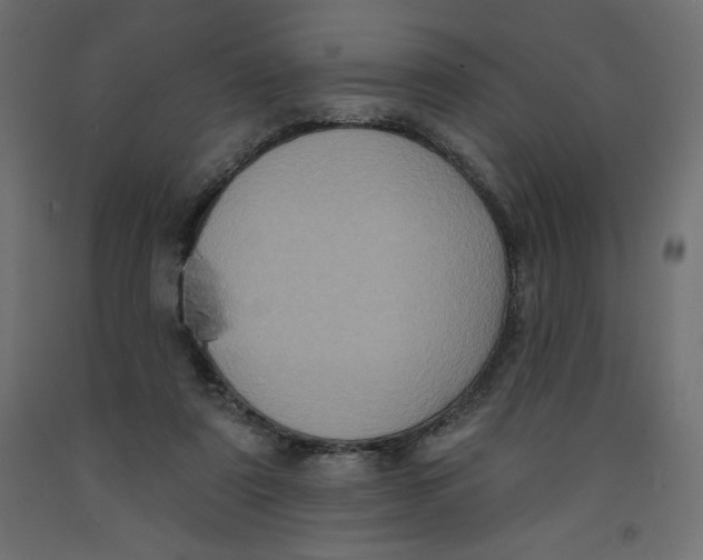 X0000092320307200710121528