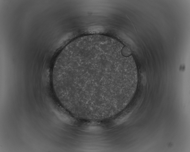 X0000092320308200710121528