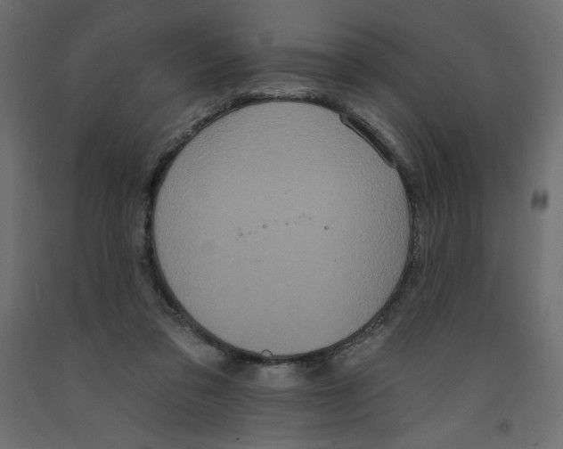 X0000092320309200710121528
