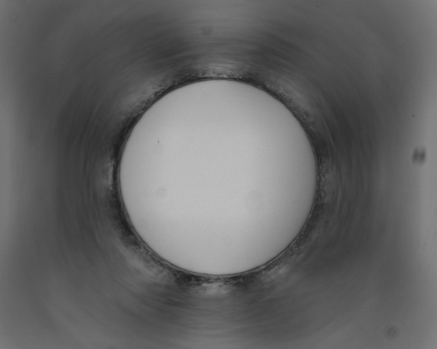 X0000092320310200710121528